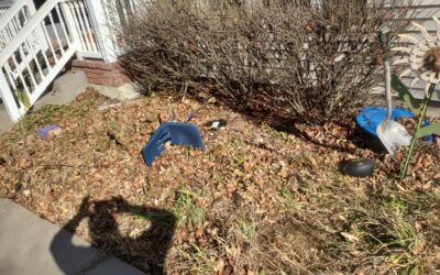 Stop Raking and Start Mulching! – Transform Leaves into Lawn Food for a Healthy Yard