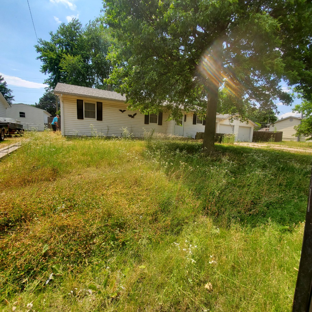 A tree in front of a house