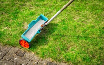 Weed Control & Fertilization Techniques for Different Lawn Types