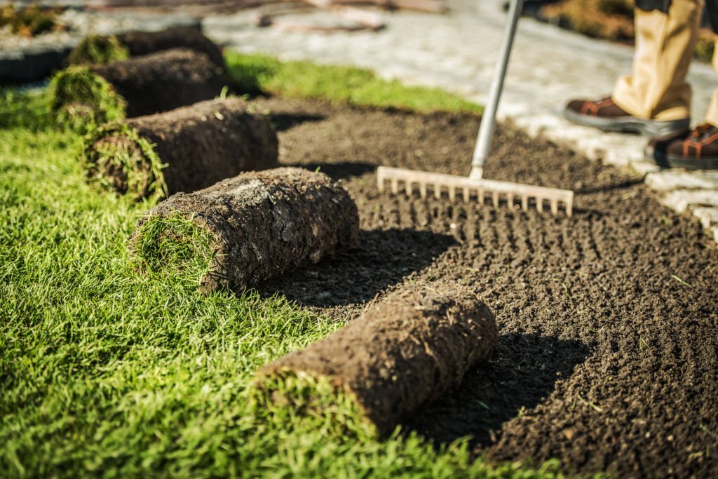 Sod being installed to ensure a lush lawn.