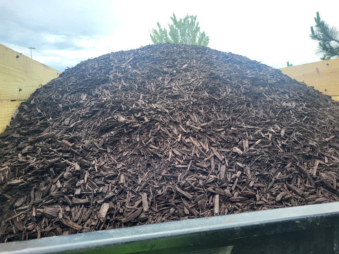 Our Divine Lawn’s work truck bed is full of mulch.