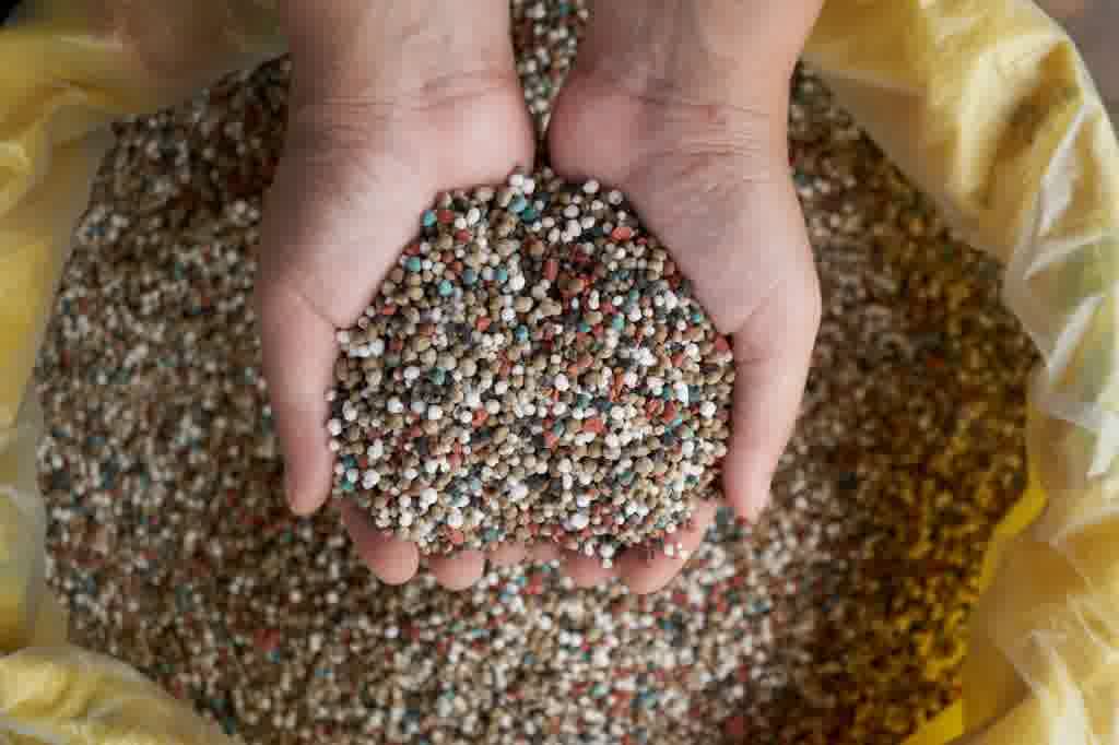 A person's hands full of sustainable fertilizer.

