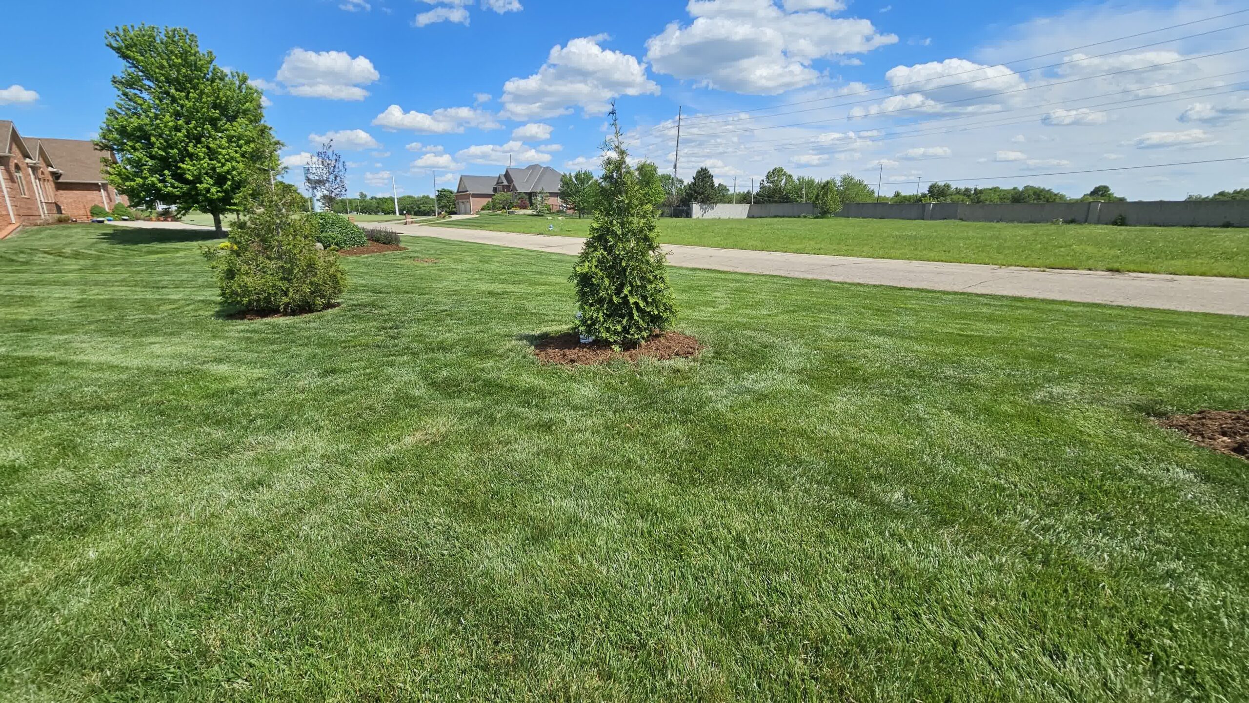 A gorgeous lush lawn with perfectly cut grass.
