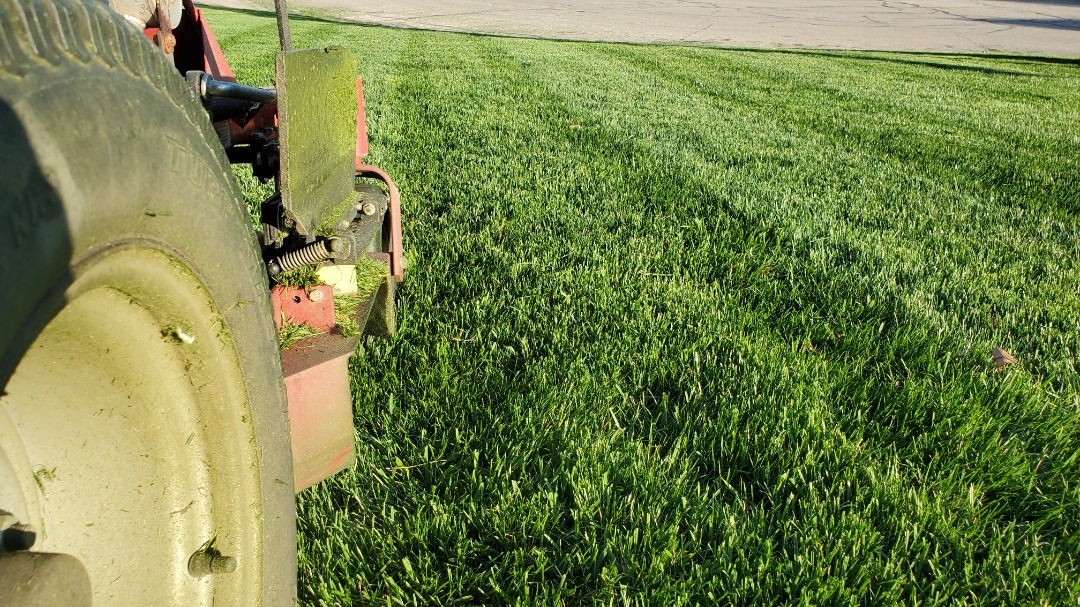 Close-up of a lawn mower cutting thick green grass with visible tire and metal parts during a bright sunny day at a residential lawn.