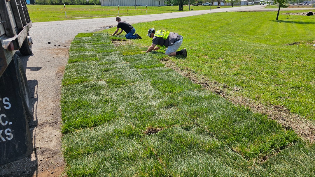 Two workers lay sod by hand near a street, patching sections of fresh grass onto an open lawn area under a sunny blue sky.