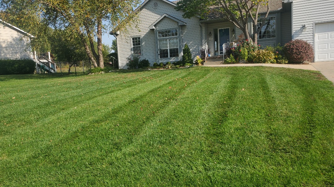 Freshly mowed residential lawn with visible mowing stripes in front of a light gray house with trees and a landscaped walkway.
