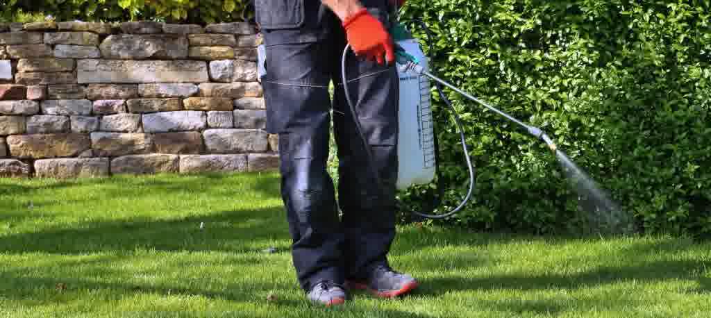 A professional handling a weed control service.