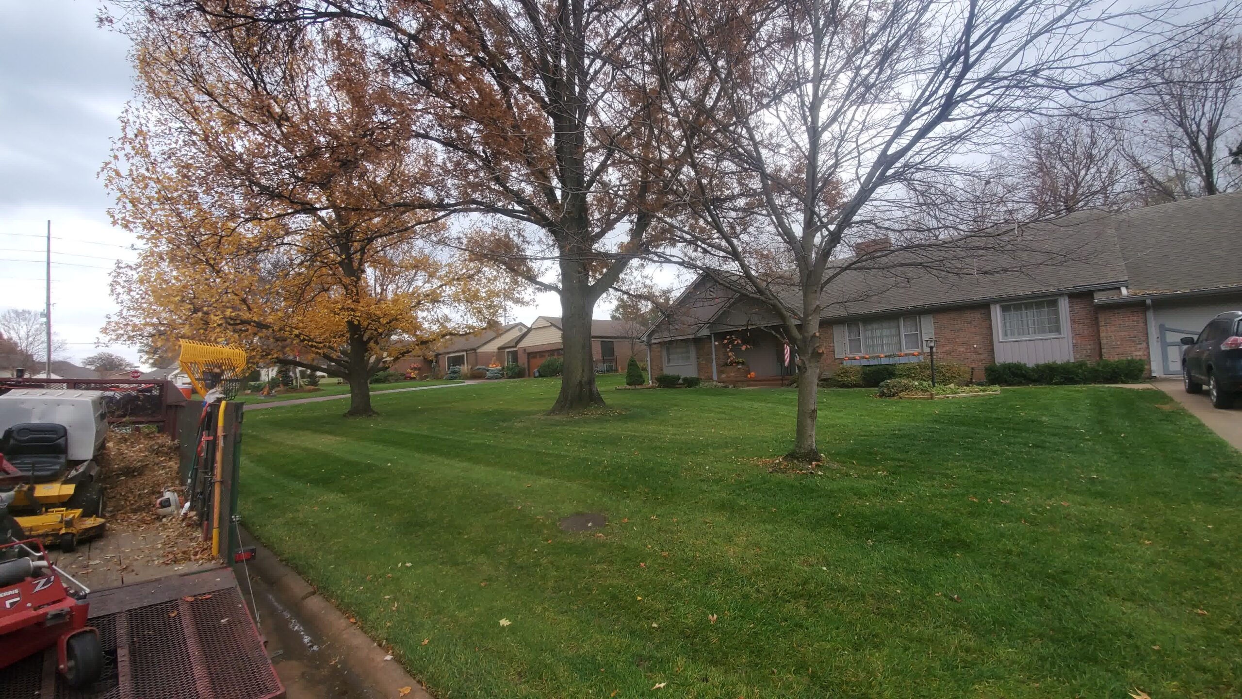 Residential lawn with mature trees and trimmed grass, maintained for flea and tick control to reduce pest habitats around homes.