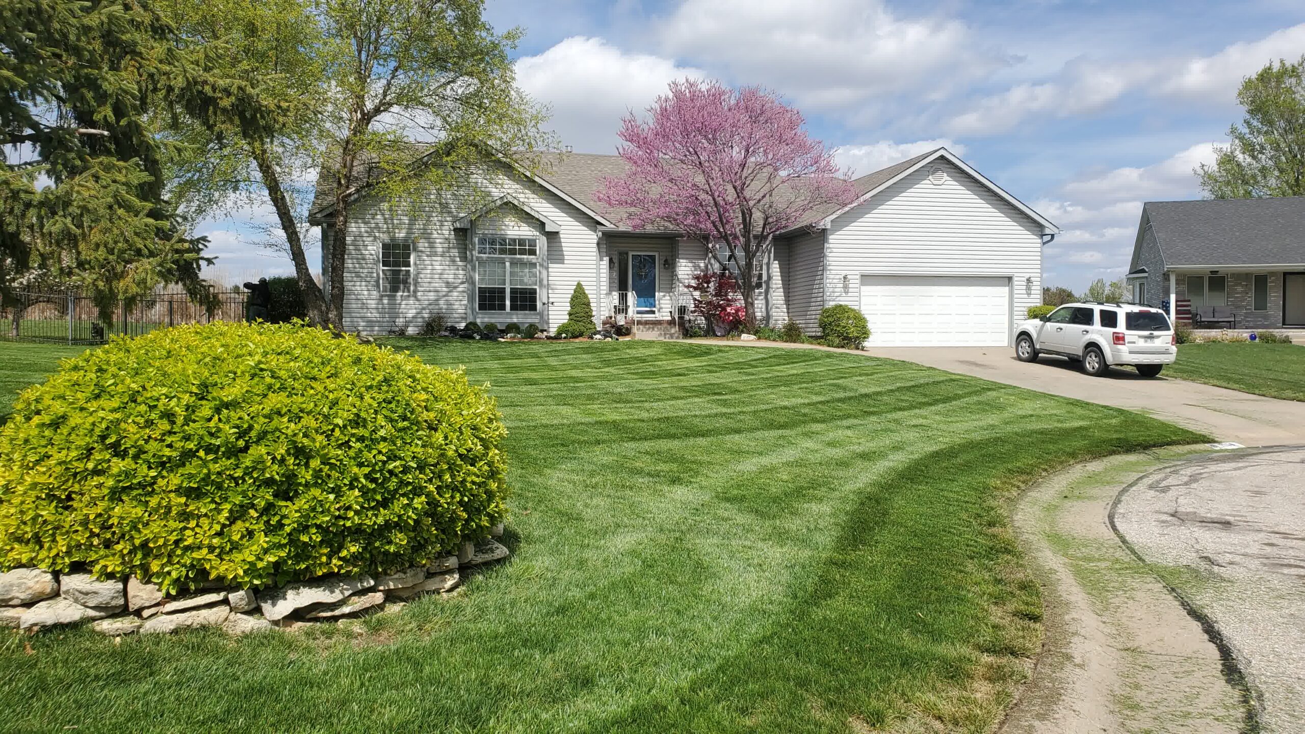 A well-maintained lawn.