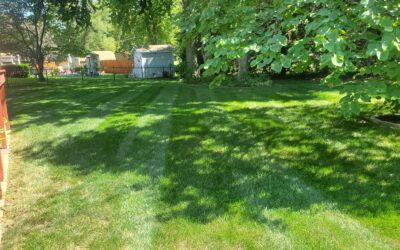 Smart Lawns Start Here: Tech That Transforms Yard Care