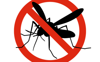 Beat the Bite! Top 3 Landscaping Tweaks To Deter Mosquitoes