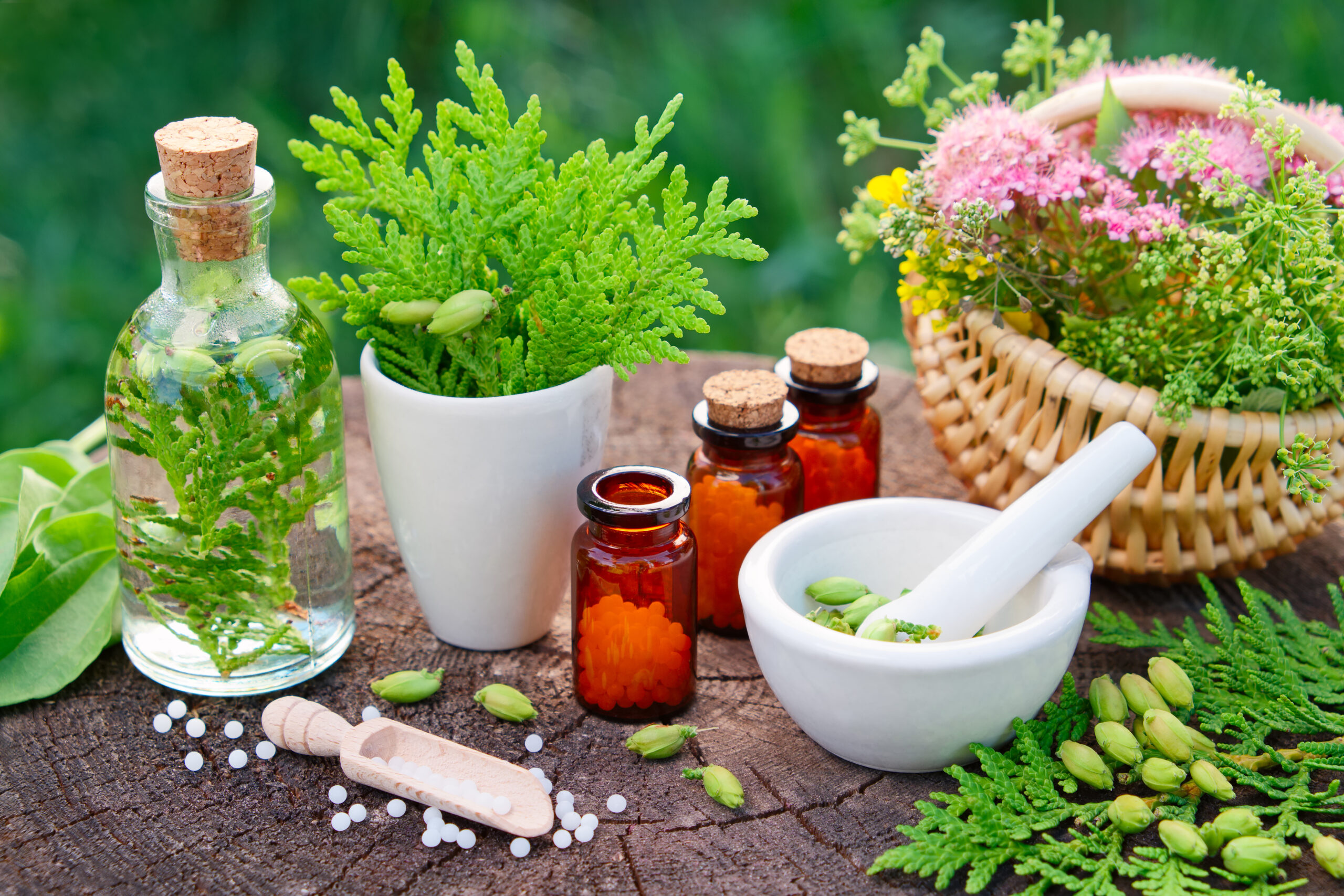 Herbal medicine setup with glass bottle, potted plants, amber jars, mortar and pestle, and fresh citronella on a tree stump outdoors.