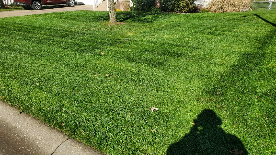 Lush residential lawn with clean mower lines, tree shadows, and a person’s silhouette cast on the grass near the sidewalk.