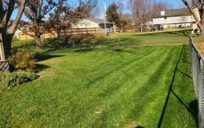 How To Switch Up Your Lawn Care Routine For November Weather