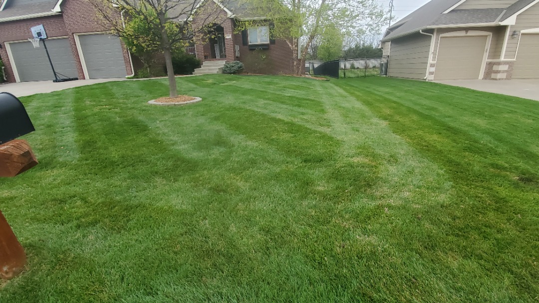 Curved front lawn with precise mowing stripes around a tree, in front of a red brick house and three-car garage in a suburban neighborhood.