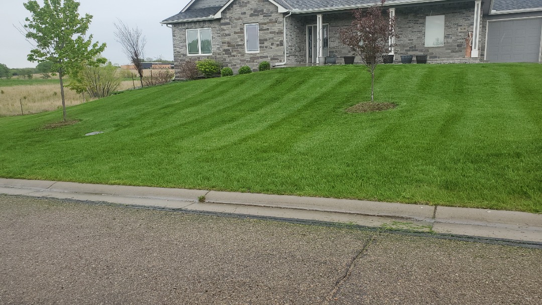 Lush green hill with diagonal mowing lines leading up to a modern stone house, surrounded by landscaping and trees in a quiet neighborhood.