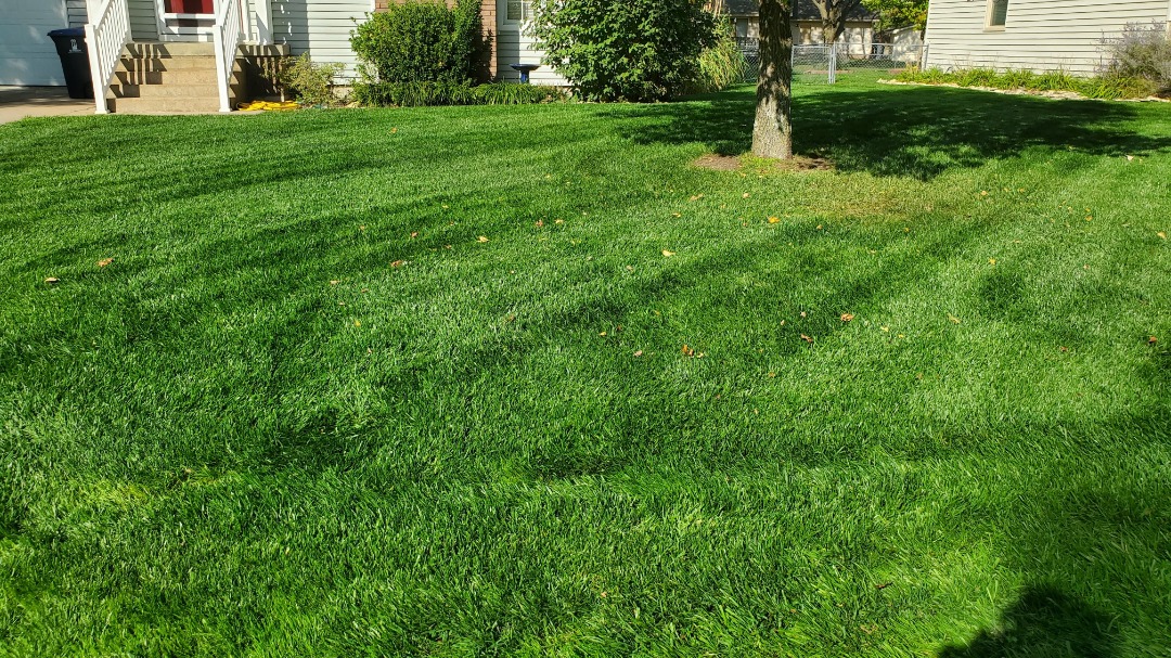 Freshly mowed residential front lawn with diagonal stripe patterns, shaded by a tree, and bordered by white-railed steps.