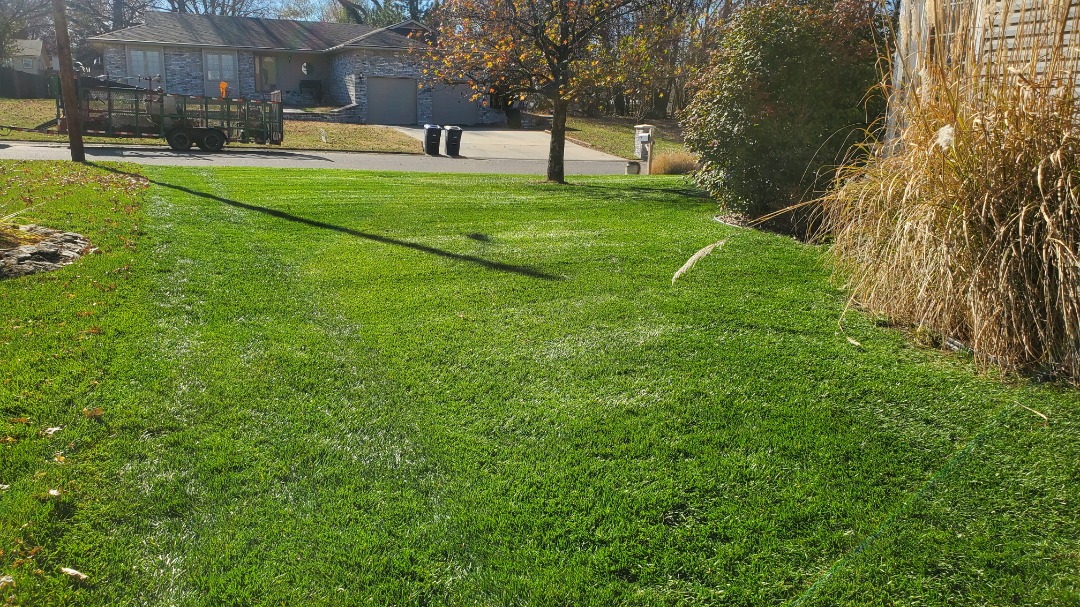 Green suburban lawn with crisp mower lines, autumn leaves, and a trailer parked across the street under a sunny sky.