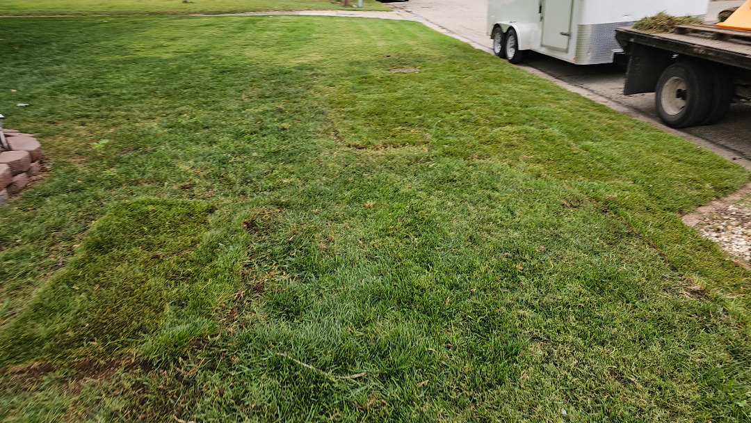 Freshly mowed front yard with visible patch repairs, a utility trailer, and a landscaping truck parked along the street.