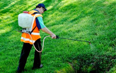Make Your KS Lawn Less Inviting to Fleas & Ticks This Fall