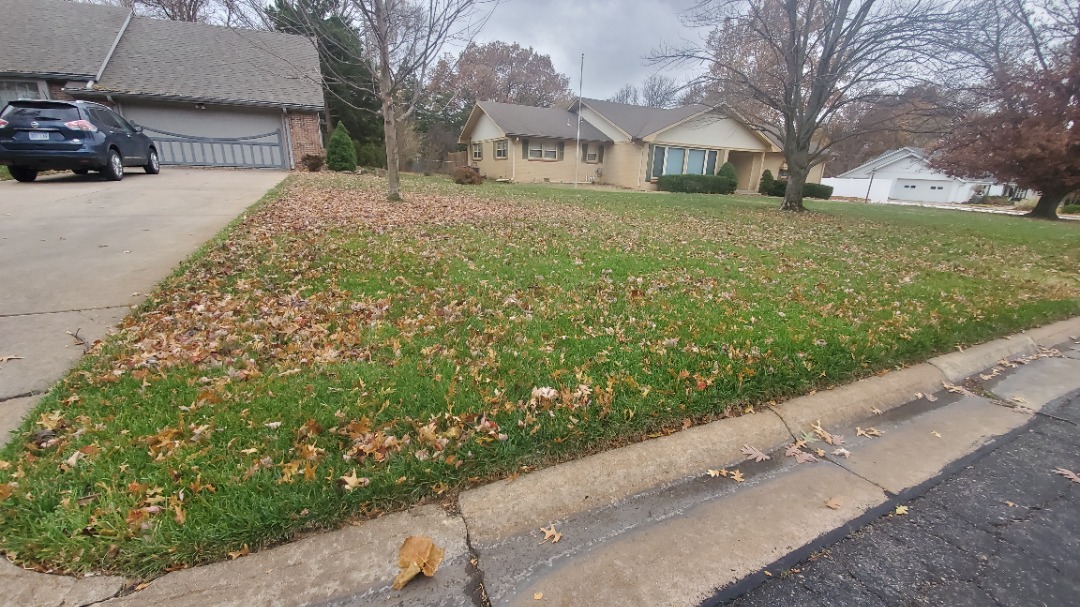 Residential front yard with a light layer of fallen leaves scattered across green lawn and driveway edge.