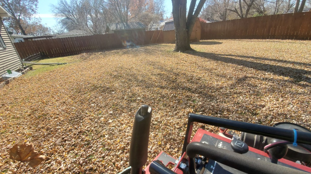 View from mower clearing thick blanket of fall leaves in fenced backyard during residential leaf cleanup.