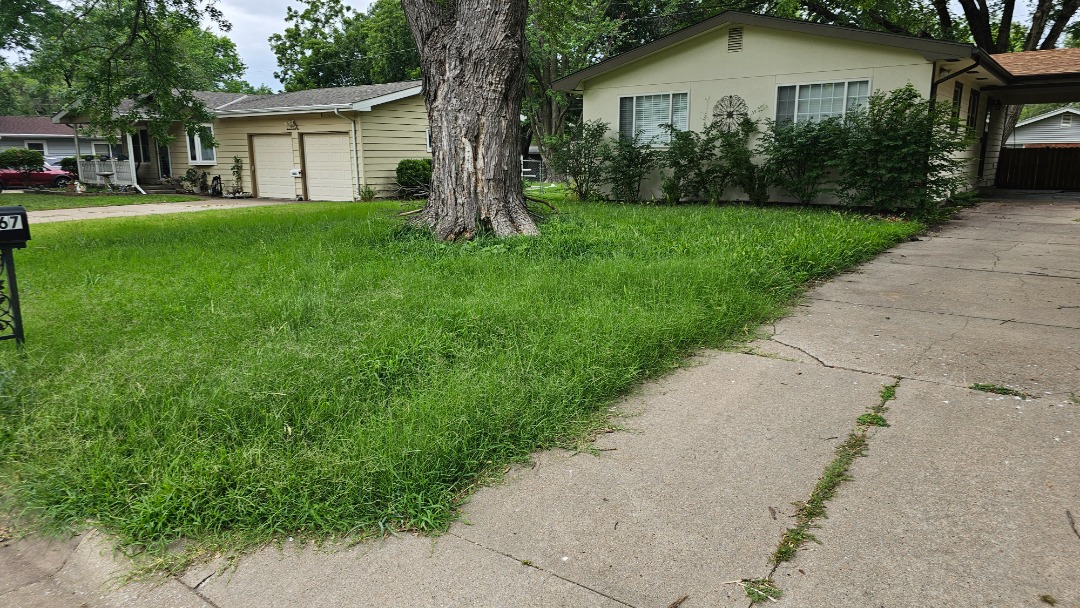 Overgrown front yard with patchy grass and weeds surrounds suburban home, showing need for lawn fertilization and care.