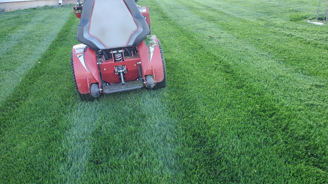 Commercial mower trims dense green grass with visible lawn striping, promoting healthy turf that deters fleas and ticks naturally.