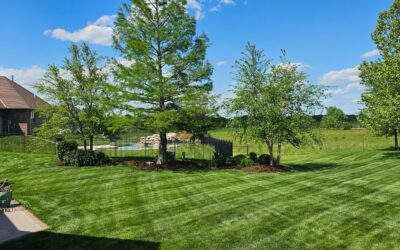 Lawn Care Practices To Avoid or Implement For Cool Weather