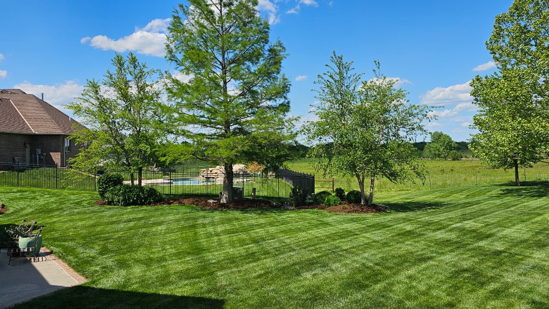 Lawn Care Practices To Avoid or Implement For Cool Weather