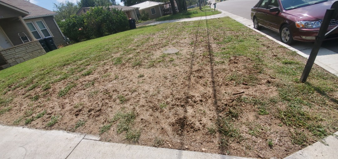 Patchy lawn with dry, bare spots in front yard, showing signs of poor grass growth and need for lawn renovation.